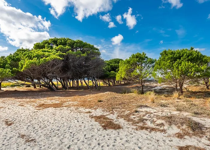 Pompia 1 By Interhome Siniscola