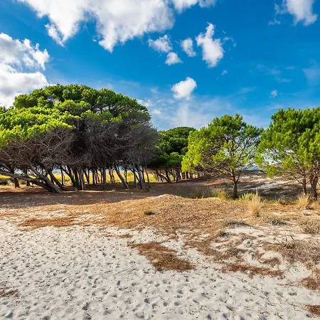 Pompia 1 By Interhome Siniscola